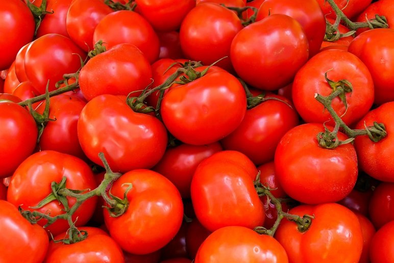 Tomates Fraîches (Le Kg)